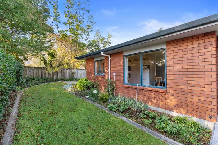 8a Hikutaia Street Te Aroha_17