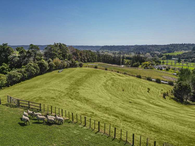 112B Mahoenui Valley Road Coatesville_9