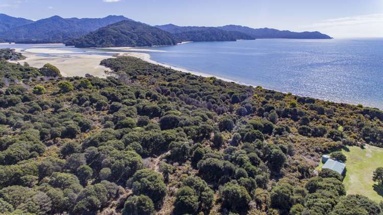 25 Awaroa Bay Awaroa Bay_8