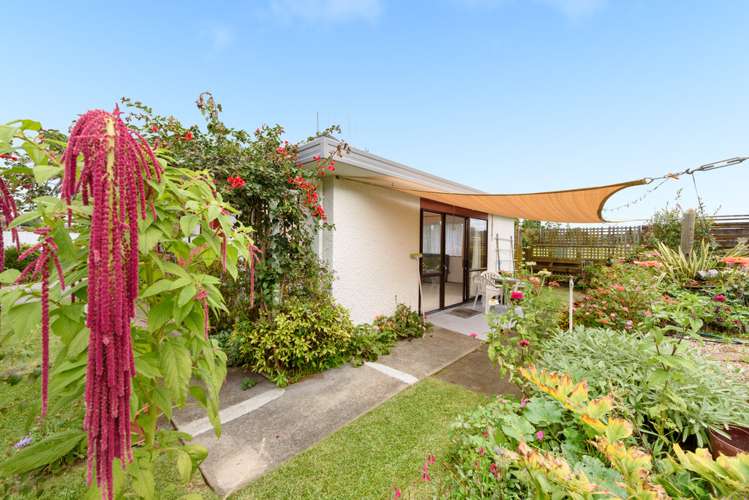 72b Otumoetai Road Judea_12