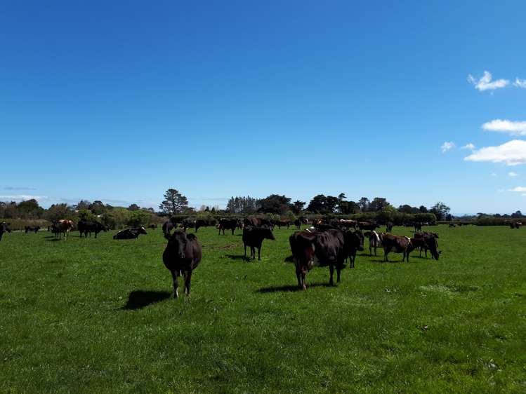 1971 Egmont Road Kaimiro_4