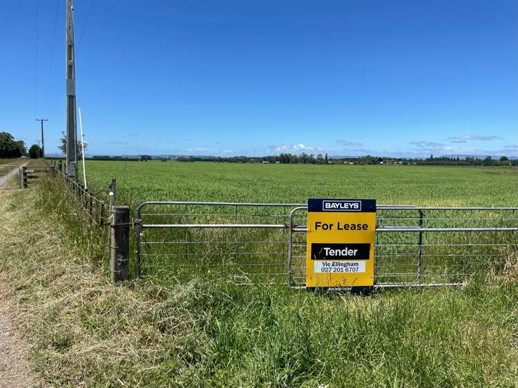 State Highway 50 Ongaonga_8