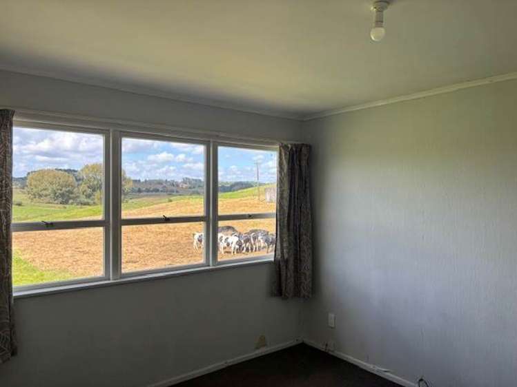 316C Ostrich Farm Road Pukekohe_2