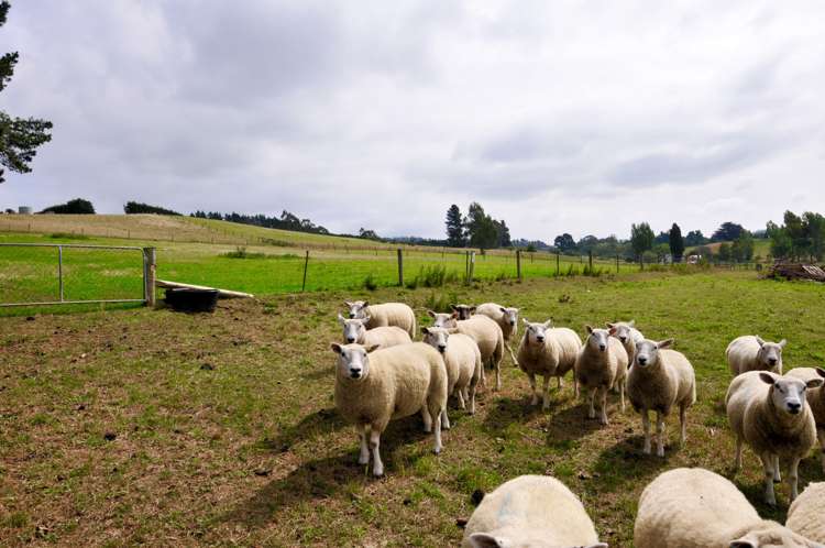 4 Railway Street Five Forks and Surrounds_8