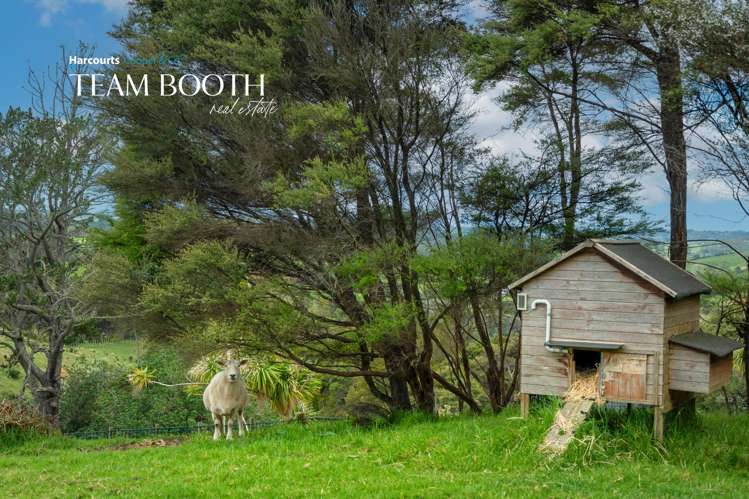 606 Blackbridge Road Waitoki_42