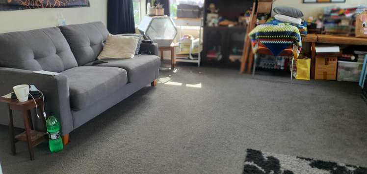 9 Ainslie Road Paeroa_8