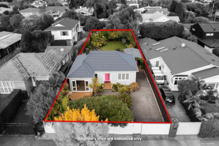 42 Springleigh Avenue Mount Albert_1