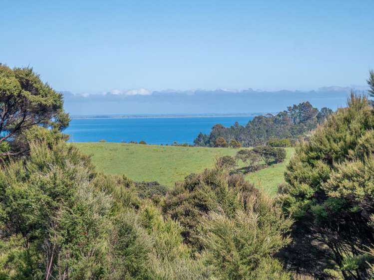 458F Hihi Road Hihi_12