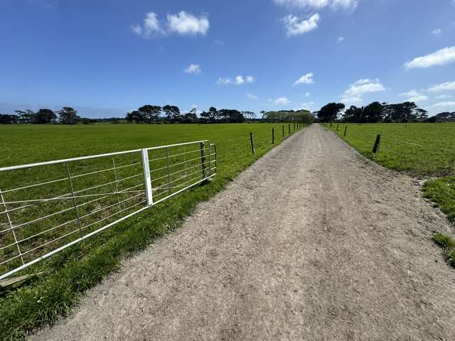 103 Turu Road Oaonui_2