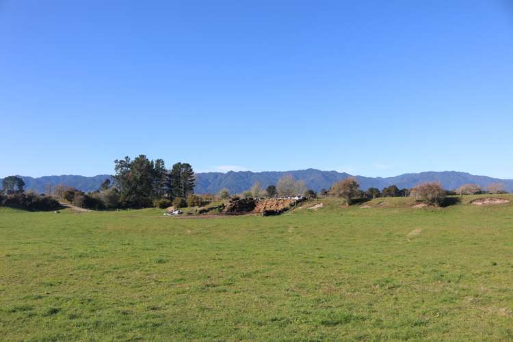 449 Kopuriki Road Murupara Surrounds_8