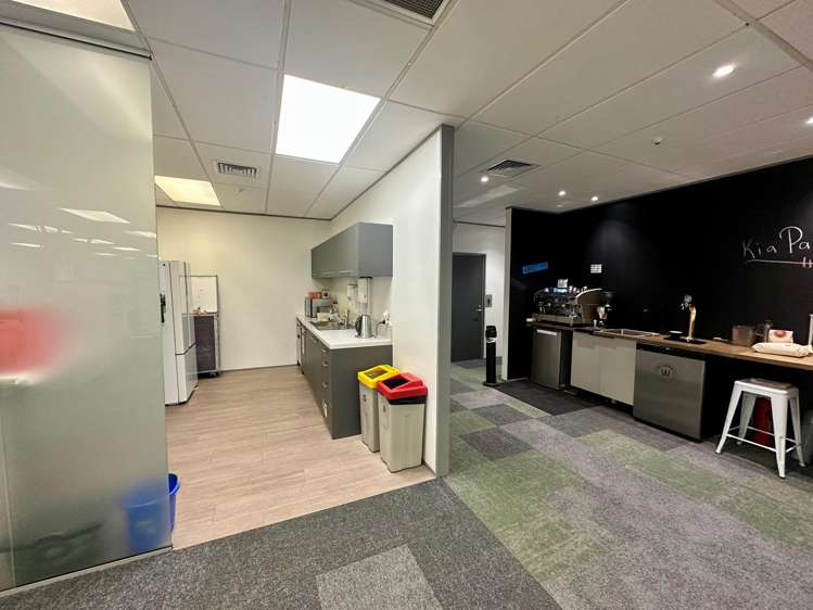 5 Wilkins Street Freemans Bay_7