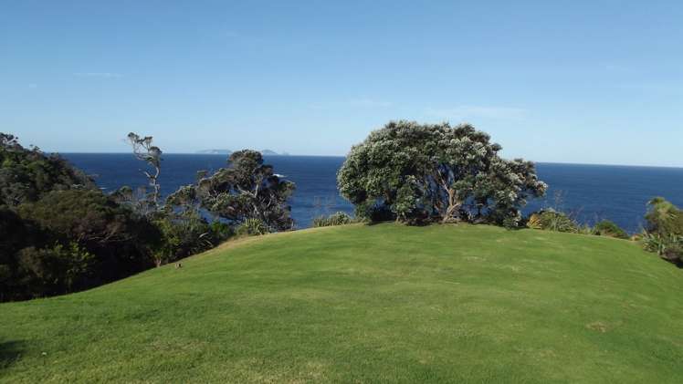 149 Lawson Drive Tutukaka_5