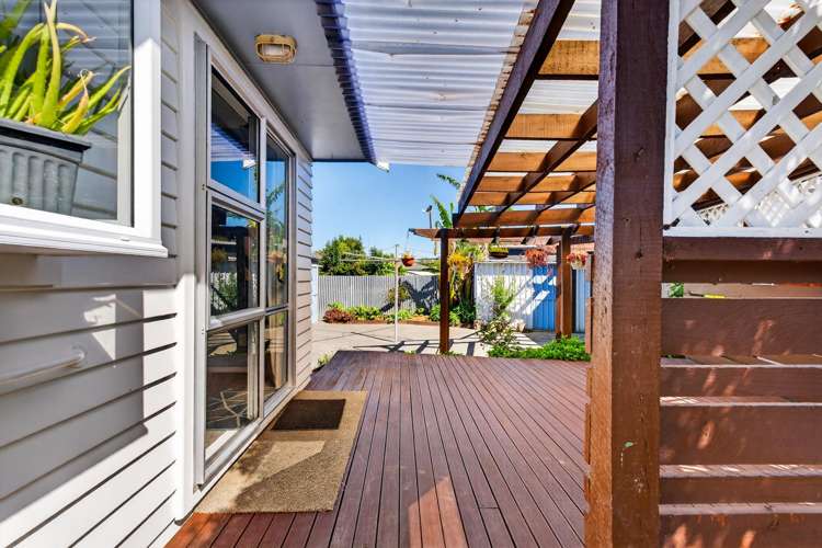 20 Norfolk Street Tamatea_12