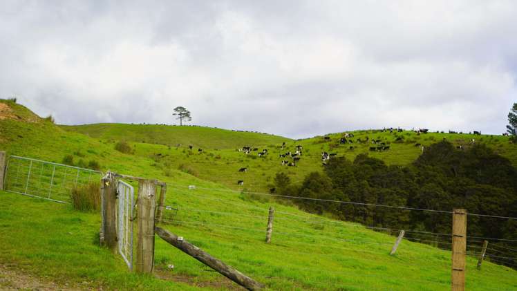 591D East Coast Road Kaiaua_24