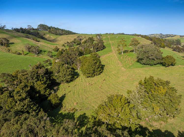 Lot 19 Anderson Road Helensville_14