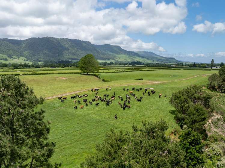1387 Old Te Aroha Road, Okauia Matamata_12