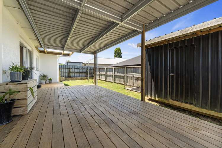 49a Hall Street Kihikihi_15