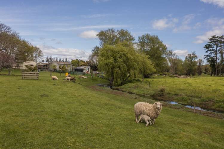 131 Trig Road Waihi_24
