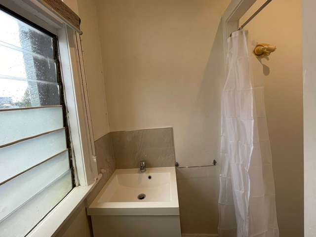 555 Great North Road Grey Lynn_4
