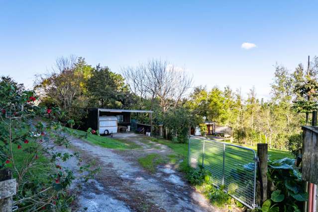 497a Tara Road Mangawhai_4
