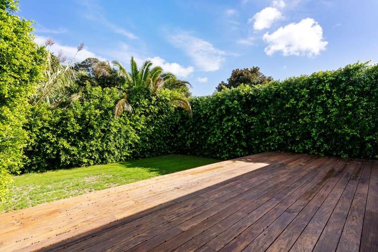 65 Albany Road Ponsonby_15