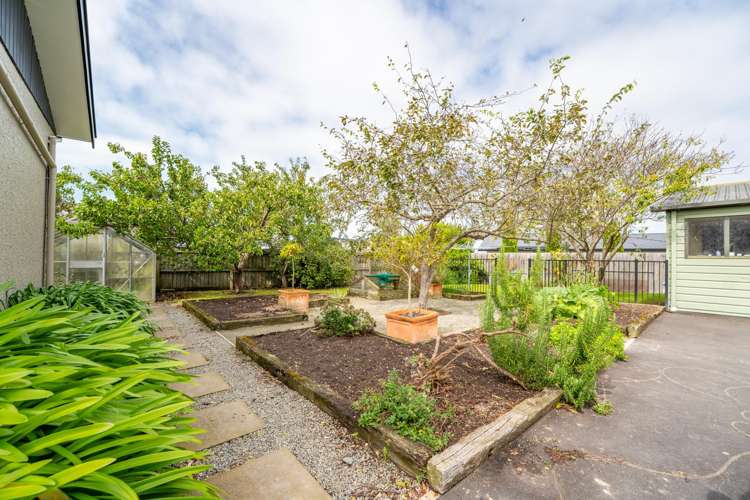 284 Pages Road Gleniti_30