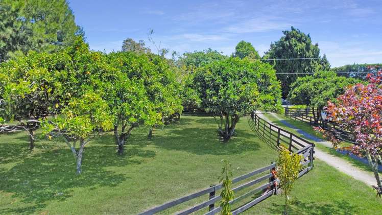 59 Macdonald Road Te Teko_7