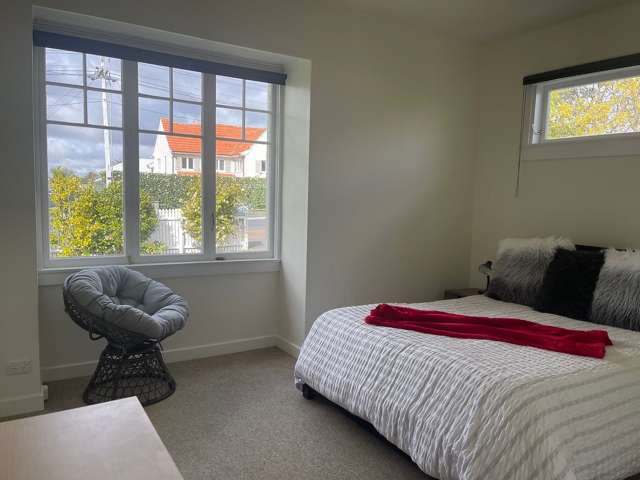 142 Campbell Road Greenlane_2