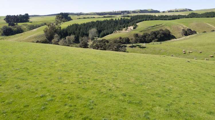 453 Dry River Road Martinborough_15