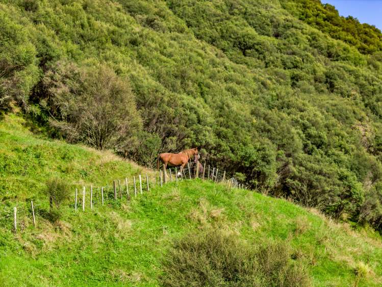 1870 Okau Road Urenui_19