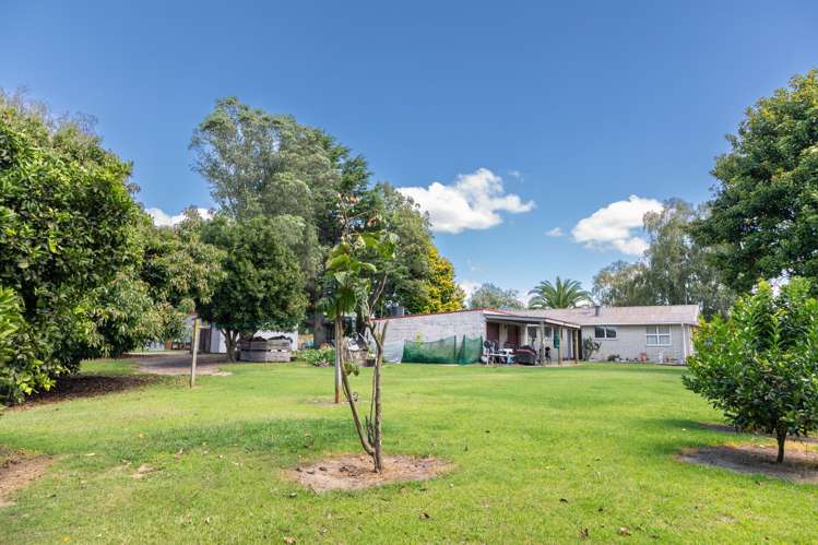 331 Maniatutu Road Pongakawa_25