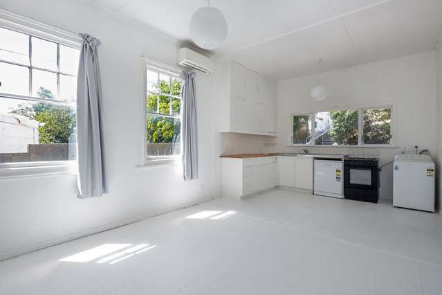 145 Aro Street Aro Valley_1