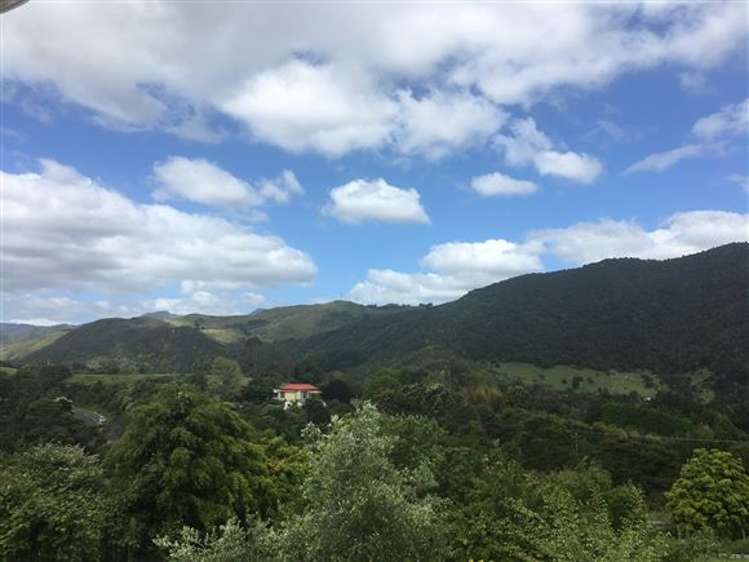 473 Kauaeranga Valley Road Thames_30