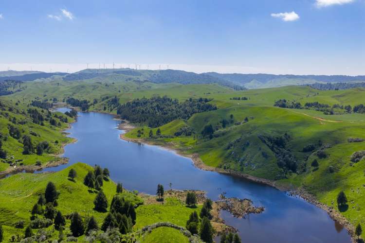 822 Kawhia Road Makomako_20