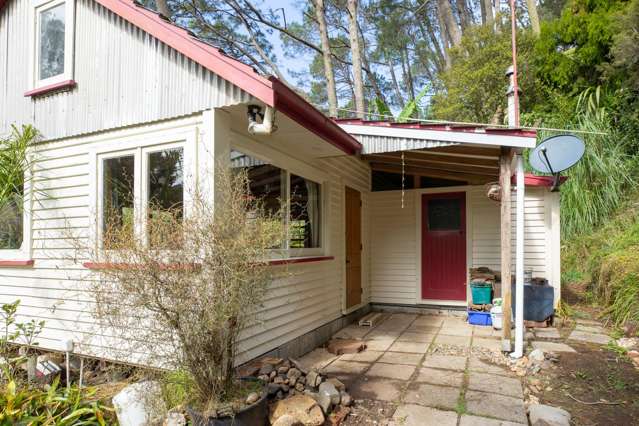 294 Tapu Coroglen Road Tapu_3