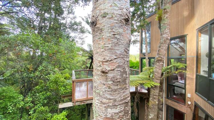 31 York Road Titirangi_11