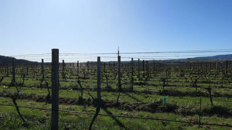 708 Waihopai Valley Road Waihopai Valley_11