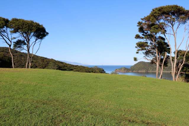 6 Harpoon Hill Great Barrier Island (Aotea Island)_1