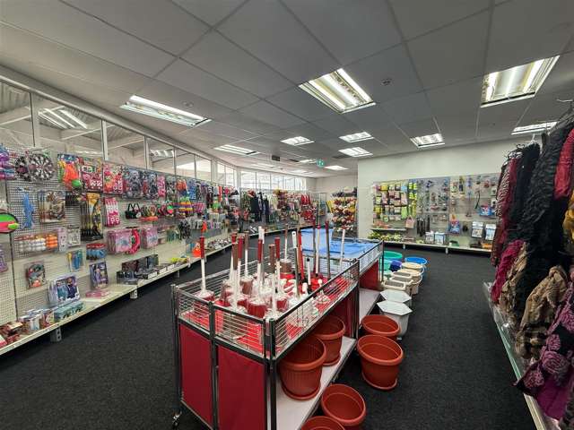 156 Riddiford Street Newtown_2