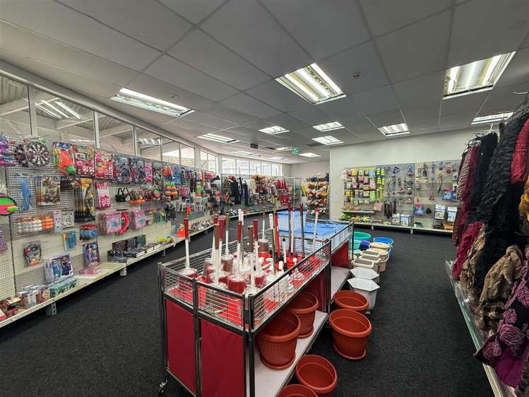 156 Riddiford Street Newtown_1