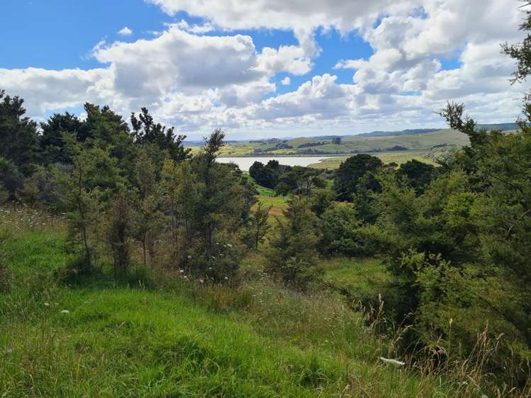 304 Arapaoa Road Tinopai_24