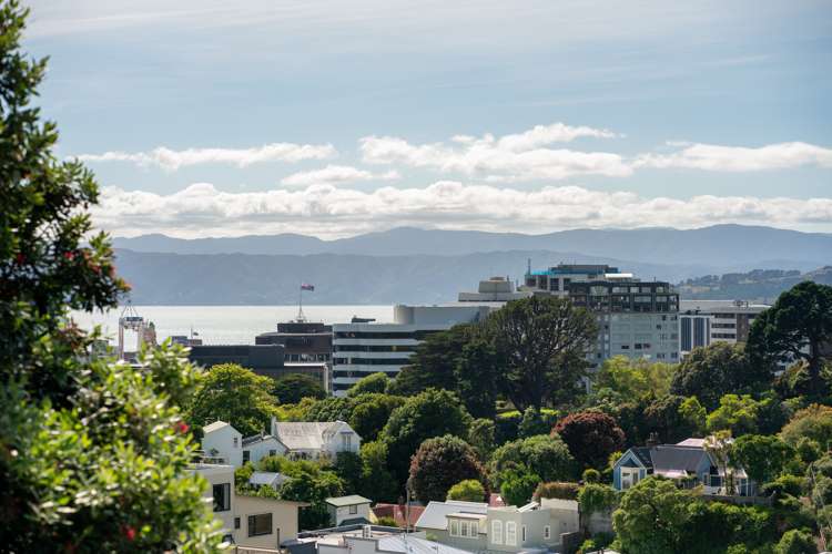 21 Saint Mary Street Thorndon_10