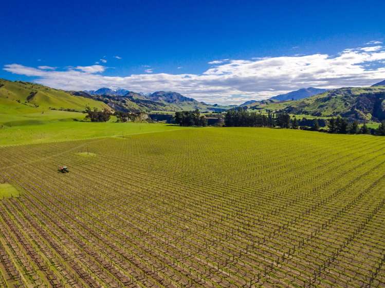 35 Welds Hill Road Awatere Valley_0