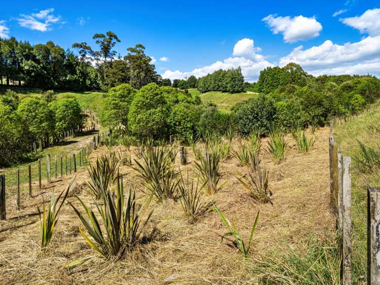 8 Pine Ridge Lane Aongatete_39