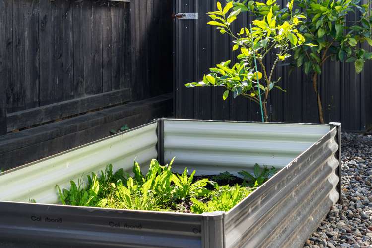 26b Yanicks Crescent Fitzroy_16