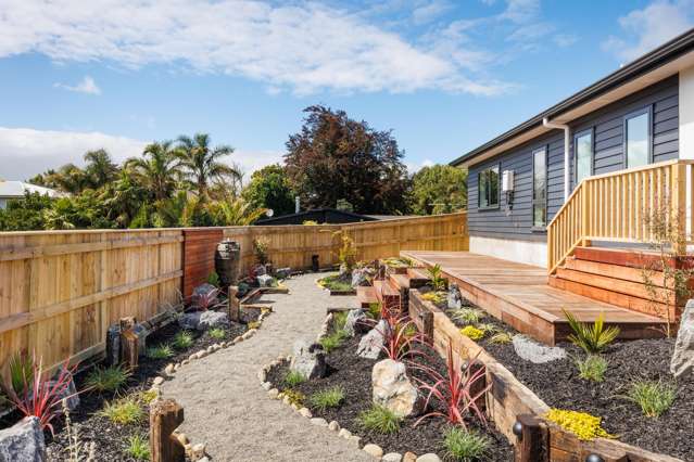 238 Park Road Hokowhitu_2