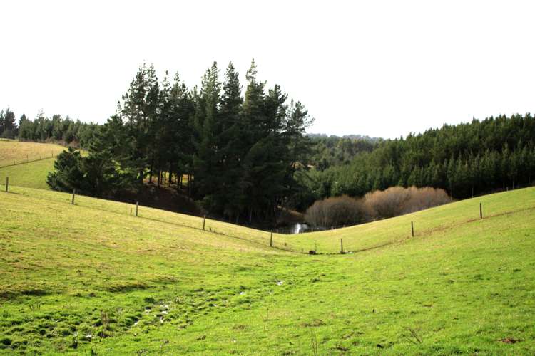 118 Old Port Road Catlins Surrounds_6