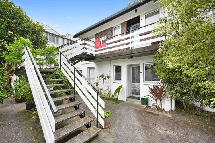 4a Clifton Road Hamilton Central_13