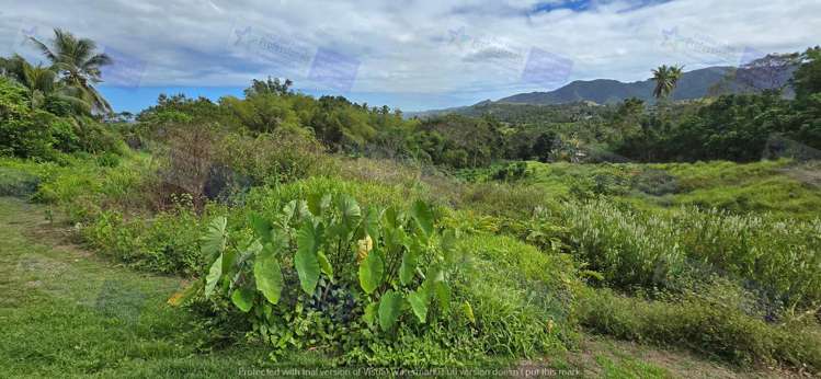 Address withheld Labasa_9