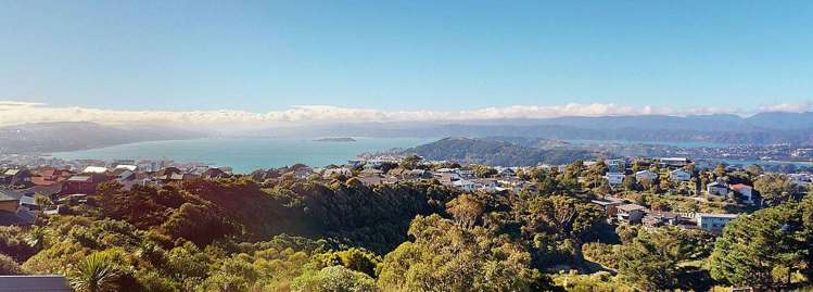 49 Ashton Fitchett Drive Brooklyn_18